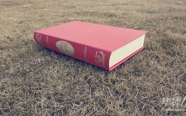 高速限速标准及违章判定，高架路口网状线违章规定