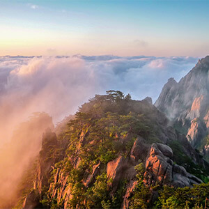 违章罚款怎么交?网上和银行都可以