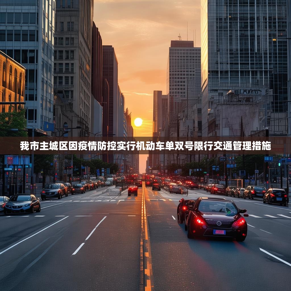 我市主城区因疫情防控实行机动车单双号限行交通管理措施
