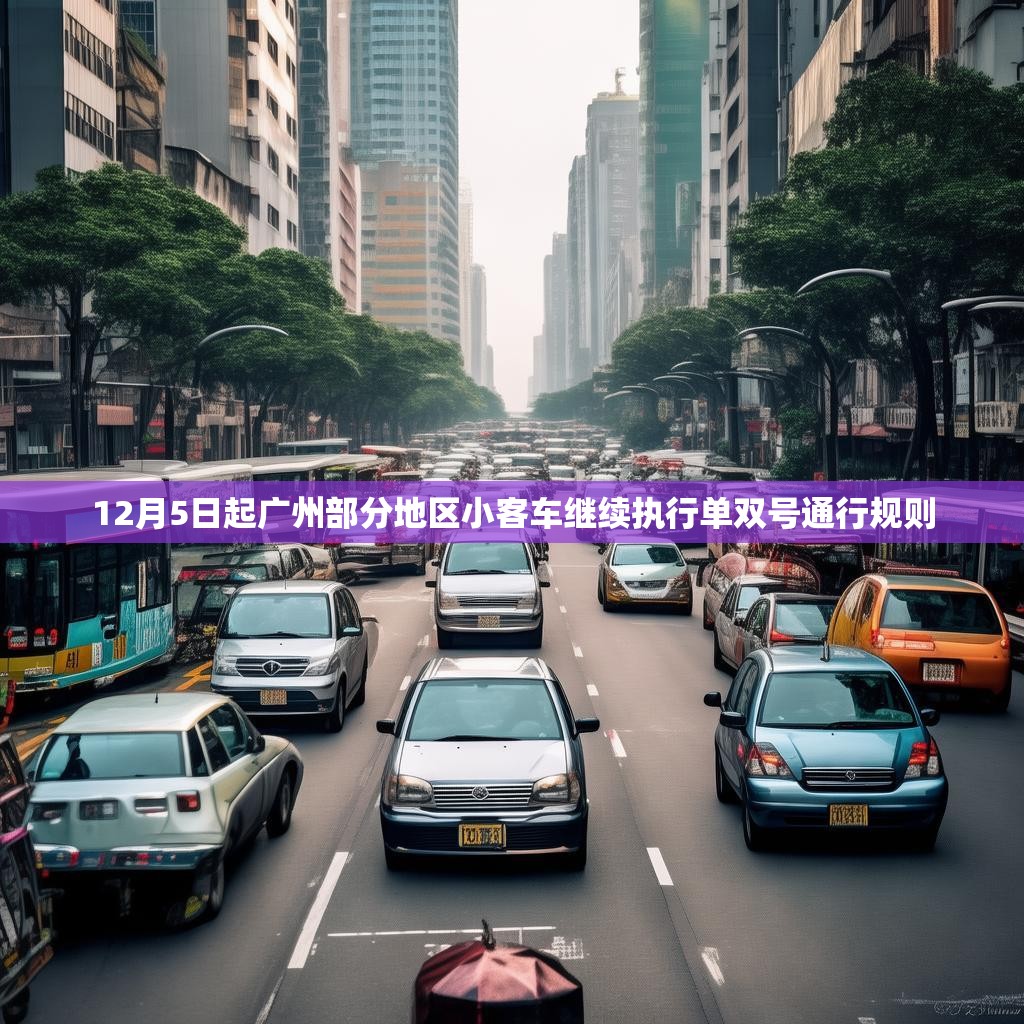 12月5日起广州部分地区小客车继续执行单双号通行规则