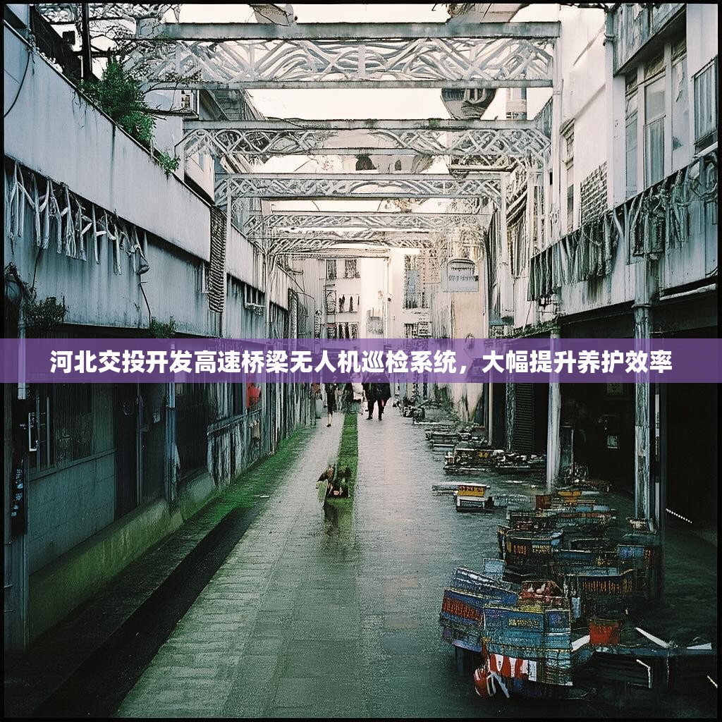 河北交投开发高速桥梁无人机巡检系统，大幅提升养护效率