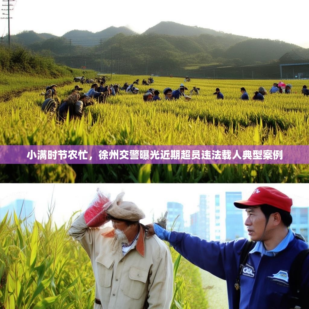 小满时节农忙，徐州交警曝光近期超员违法载人典型案例