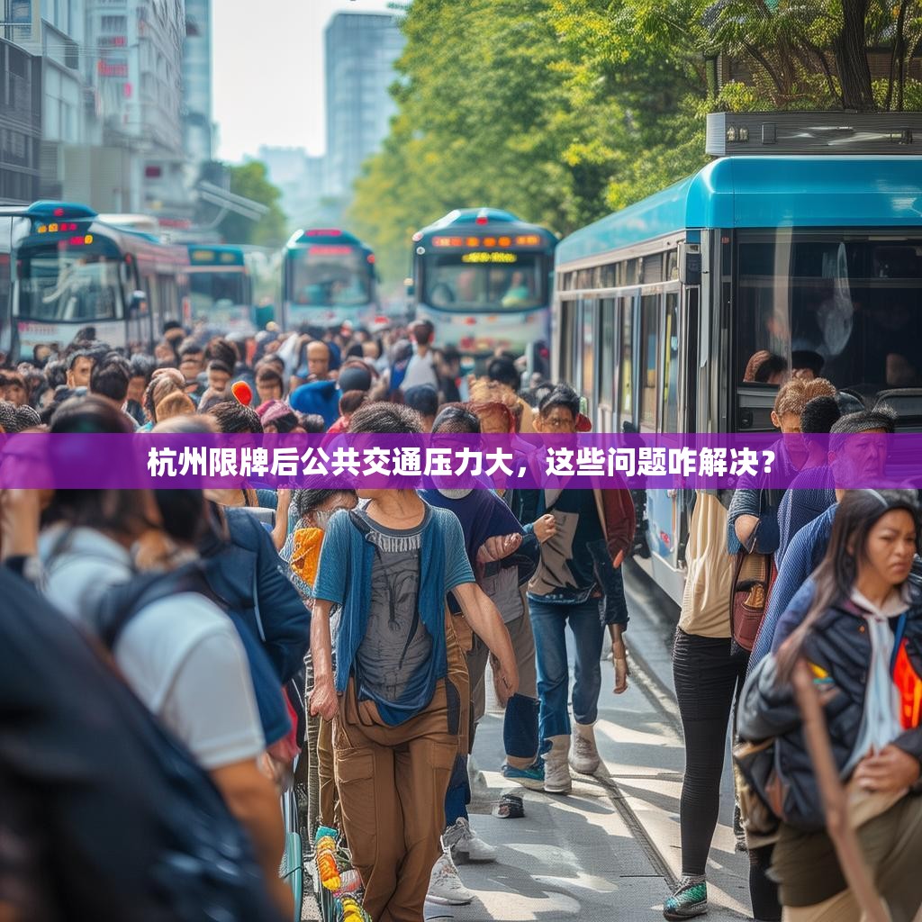 杭州限牌后公共交通压力大，这些问题咋解决？