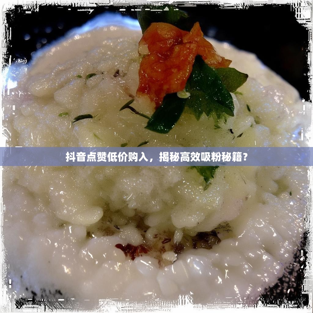 抖音点赞低价购入，揭秘高效吸粉秘籍？