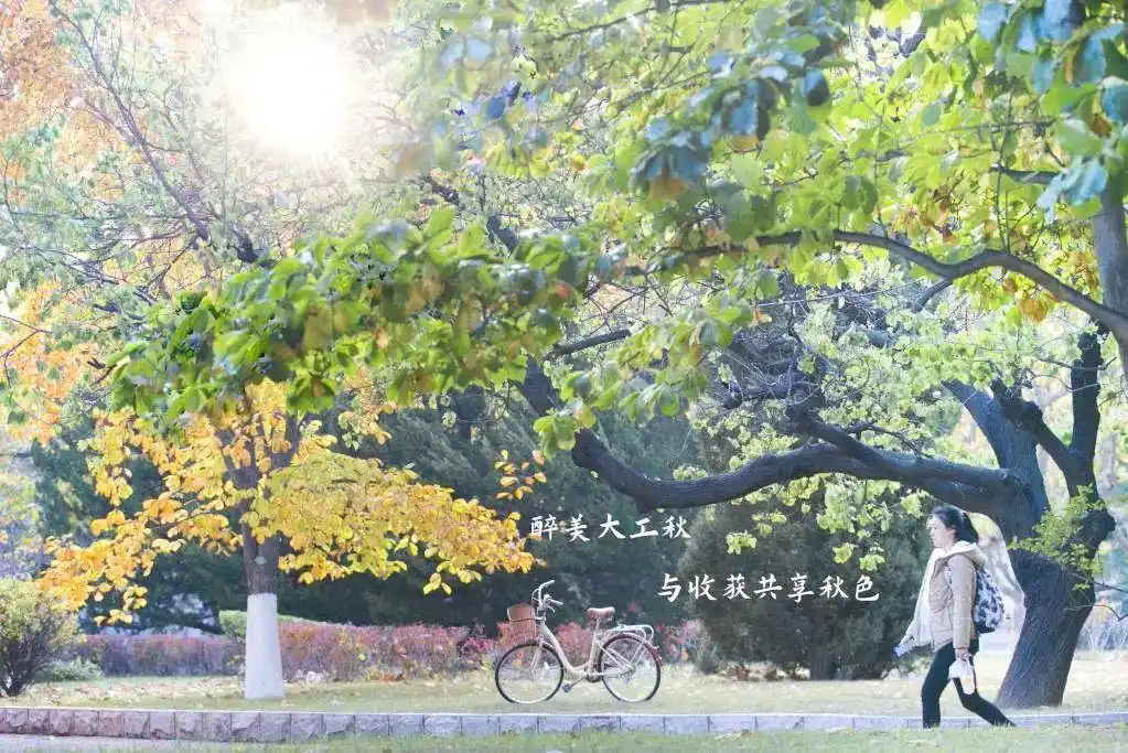 大学新生开学季，家长如何规划费用助力孩子完成学业？