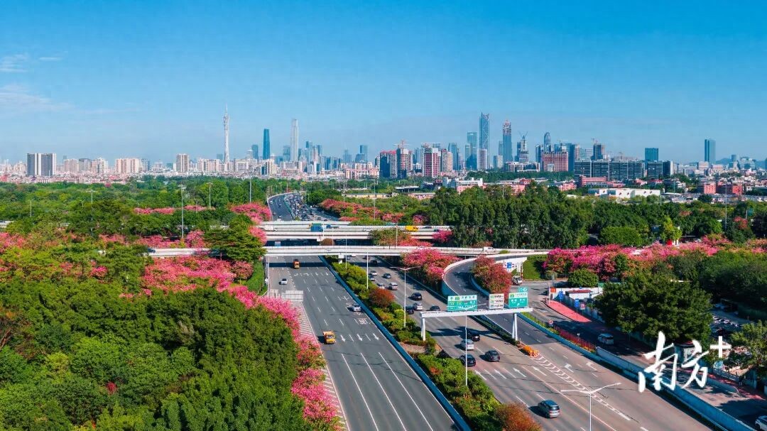 清明假期高速免费3天，7座以下小客车全免