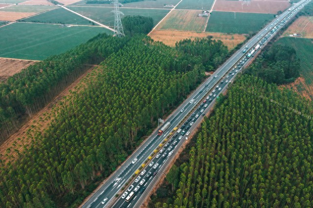 清明高速免费3天攻略！避开出行高峰，机票省钱全知道