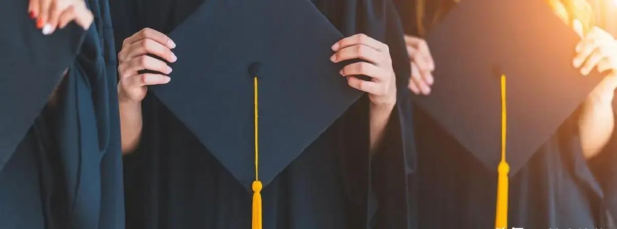 2026 年高考录取逻辑大变!家长考生必看应对策略