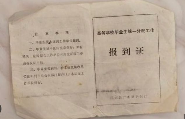 高考改革下,小镇做题家选专业如何避开信息差