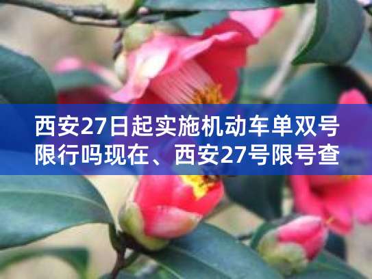 西安限号单双号规则及时间，含节假日与调休情况说明