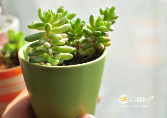 开车必知！交通违章不处理的后果，罚款逾期影响大