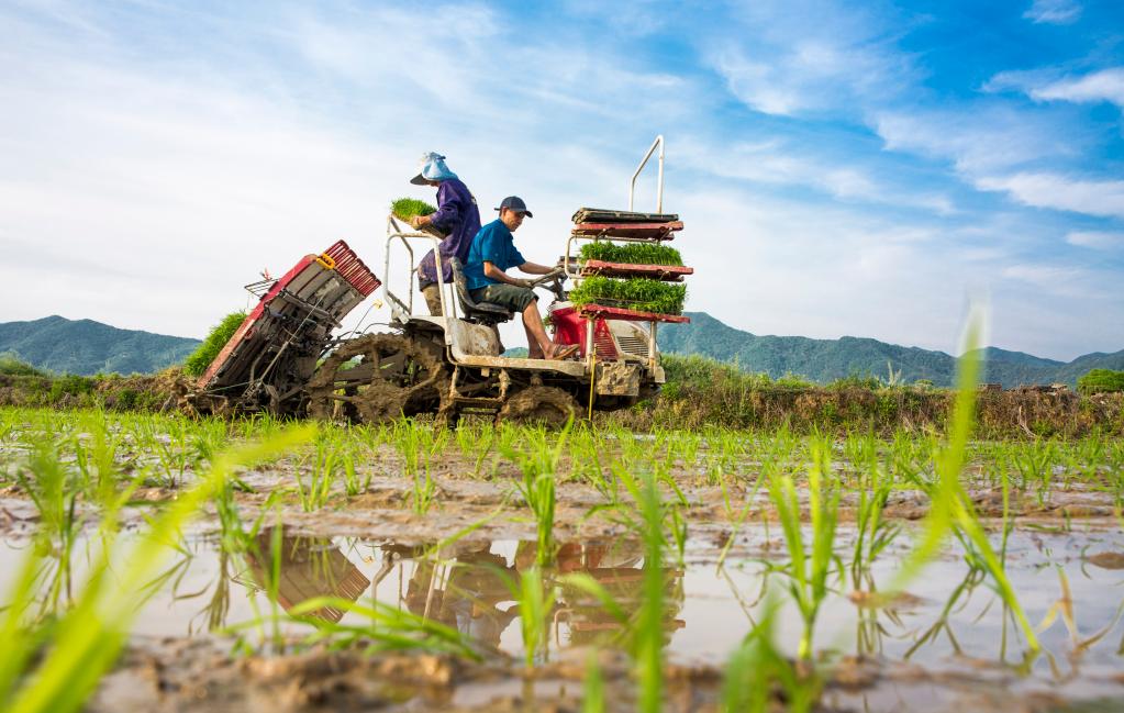 疫情挑战下，农业农村部回应如何抓好‘米袋子’‘菜篮子’