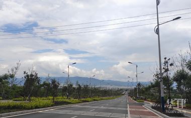 汽车限号怎么查？违章限号查询方法全在这里了