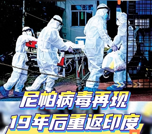 2026年1月印度西孟加拉邦尼帕病毒疫情详情及扩散分析