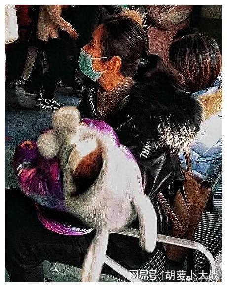 钟南山石正丽预警新冠疫情或再爆发，今冬医院人满为患