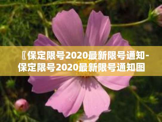 保定今日限号通知：限行时间、规则及特殊日期说明