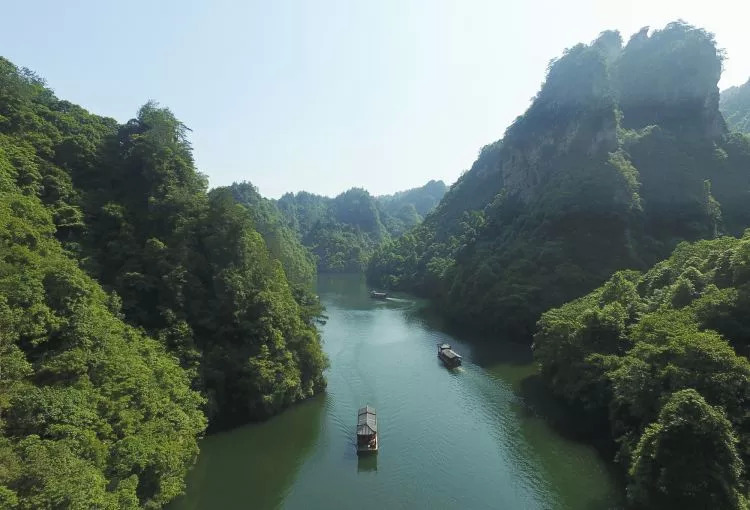 张家界疫情防控新闻发布会：流调溯源及核酸筛查情况通报