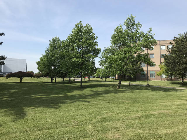 疫情危机下，今年留学生该出国吗？出国与不出国利弊分析