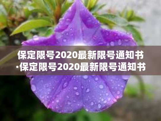 2025年保定限号新规定详情，含货车限行及取消通知