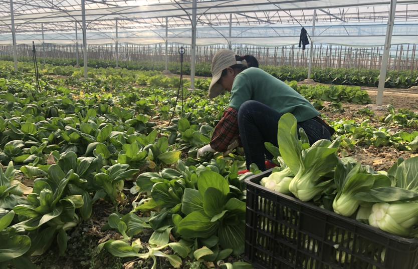 镇海疫情严峻,区委统战部迅速行动,全力做好防控工作