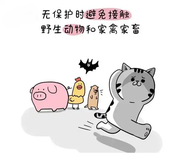 春节期间人员流动大,如何预防流感、新冠等呼吸道传染病?