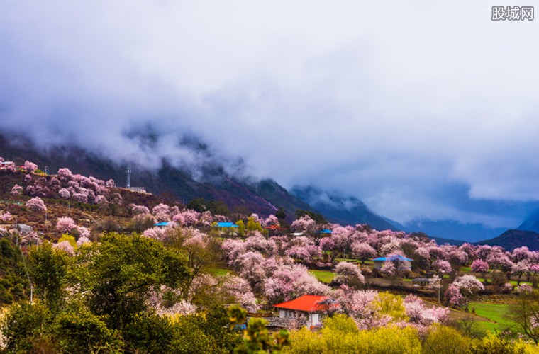 疫情影响下旅游业停滞，2020旅游政策扶持行业逐步恢复