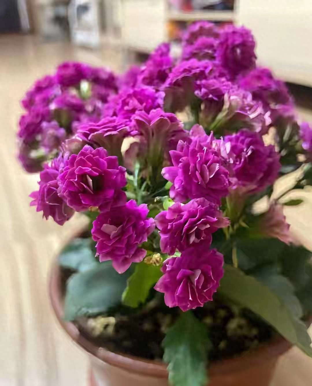 疫情影响渐弱经济复苏，央行降准背景、影响及对经济复苏的意义