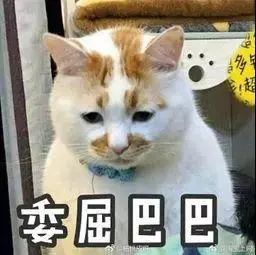 借车给朋友违章了怎么办？现场处罚与电子警察有别