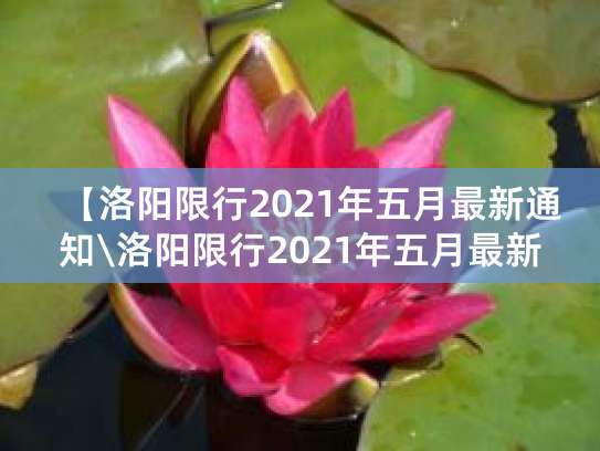 2021洛阳限行时间和范围公布，这些时段路段要注意