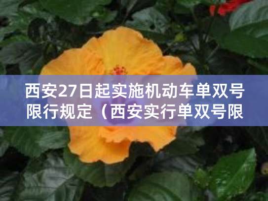 西安单双号限行规则及时间范围，速看