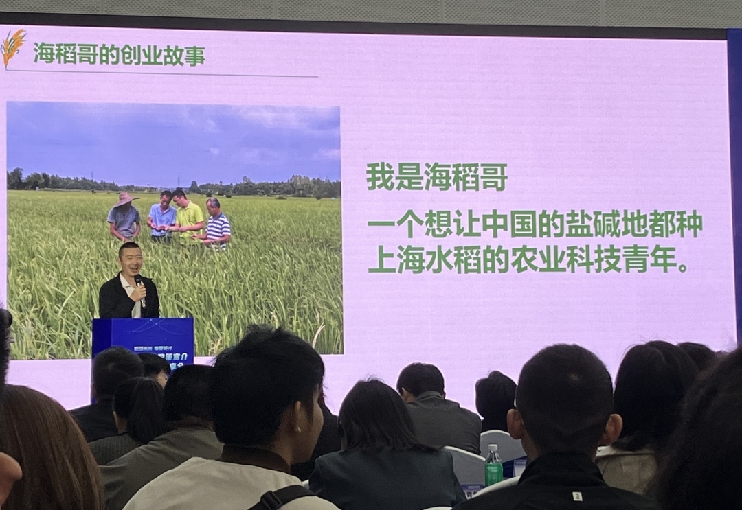 大学生创业经验分享:如何选赛道及顺势而为实现从0到1