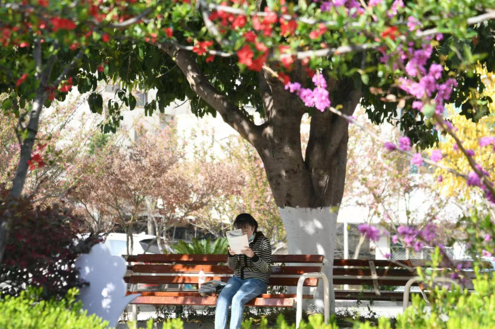 大学课程怎么学?2024级新生实用学习指南