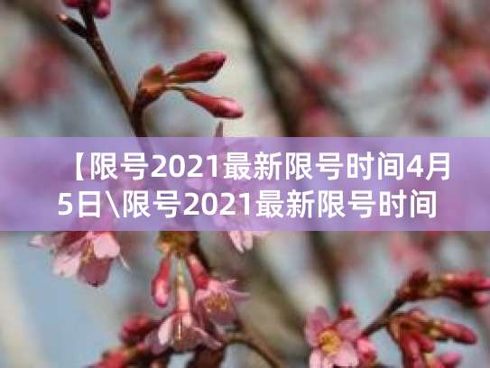 北京4月5号限号详情及三河2021最新限号时间