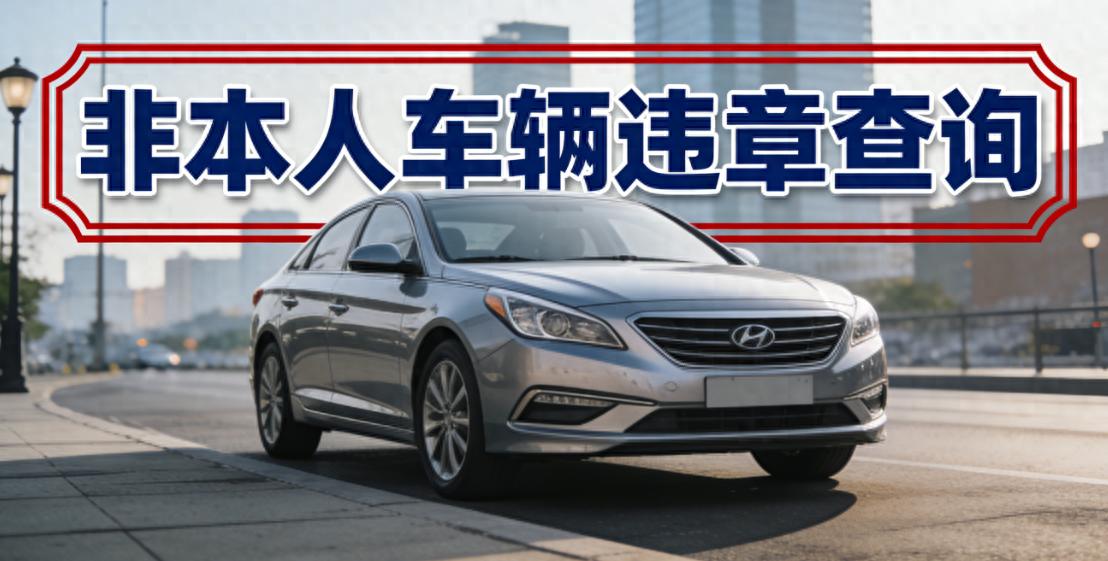 非本人车辆违章咋查？必备信息+权威渠道+避坑指南都在这