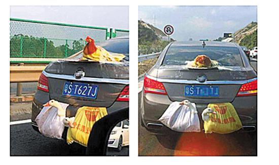 日常驾驶易忽略的5种交通违章行为,车主们一定要注意