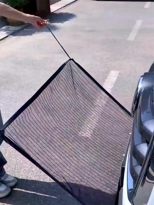 汽车防虫网利弊大揭秘,违章高发季安装防虫网要谨慎