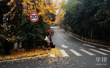 限号出行处罚标准及违章停车处理方法，你知道吗？