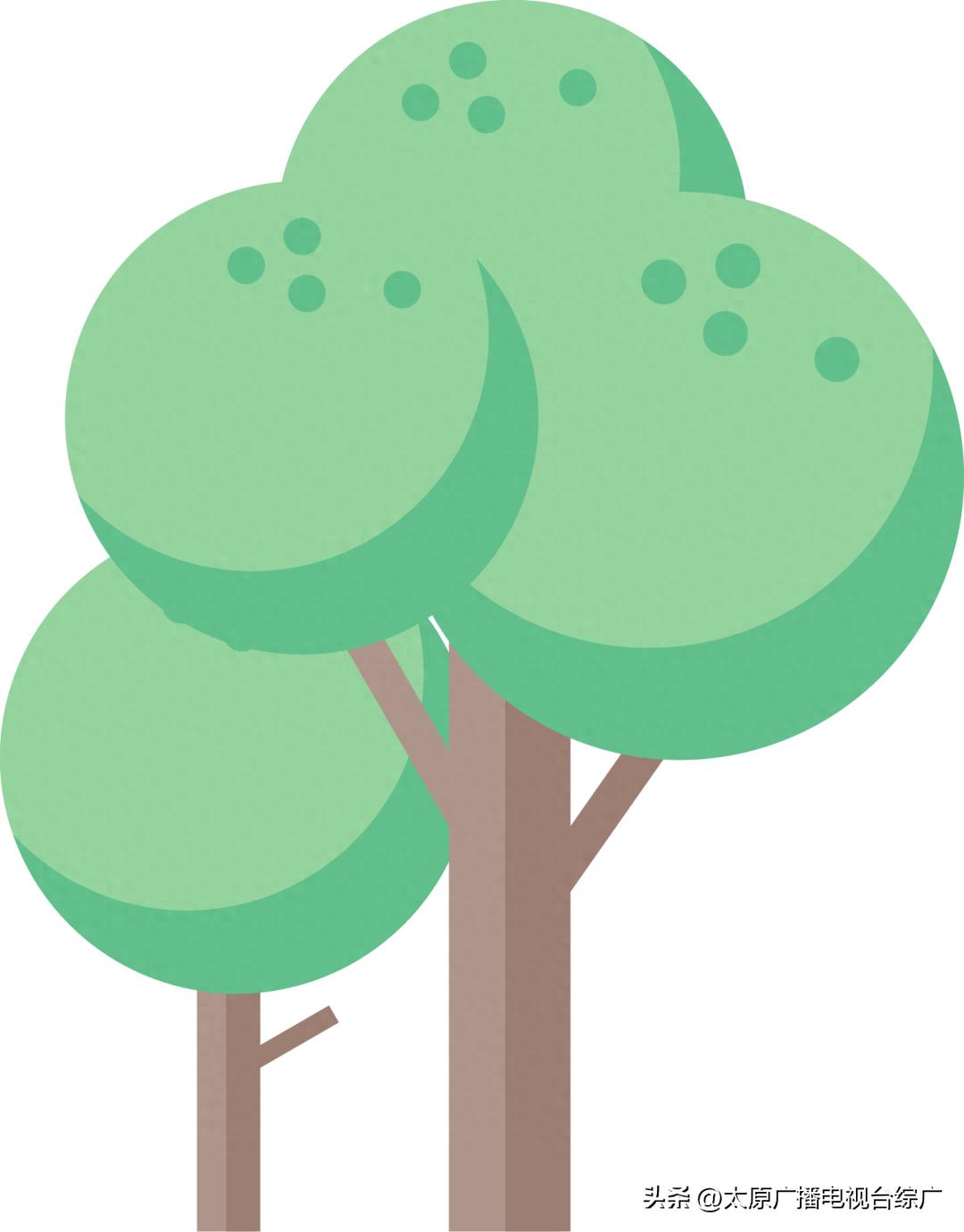 太原西北二环高速泥屯服务区：配套设施与服务质量双优