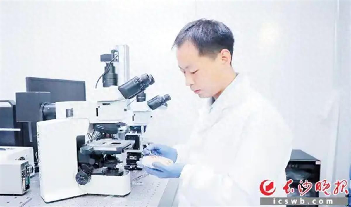 国内高校现多位90后教授，冯磊李东等履历引关注