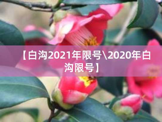 白沟限号限行历史查询 过去现在限行规定