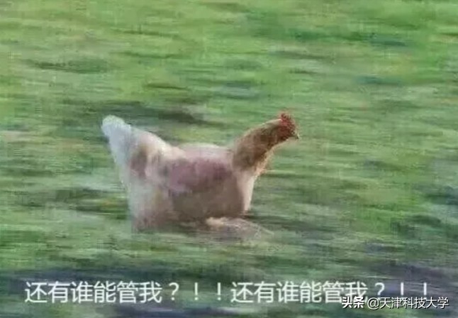 当代大学生寒假社交实录：故人重逢与家庭交流那些事儿