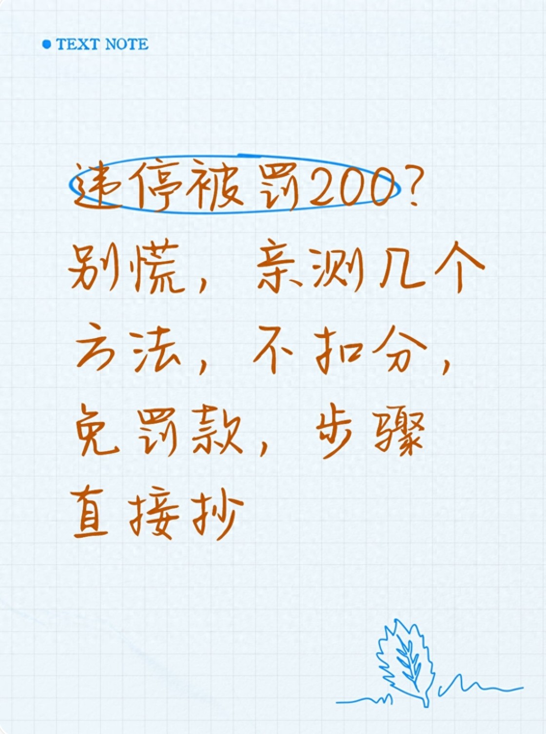 亲测！轻微违停免罚方法大公开，新手老司机都能用