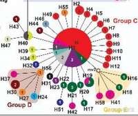 疫情谣言大揭秘：苯酚、新冠源头、喝茶预防等说法真相