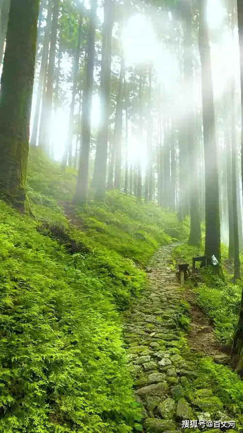 高考作文材料简短难下手？看这里，教你如何抓住关键