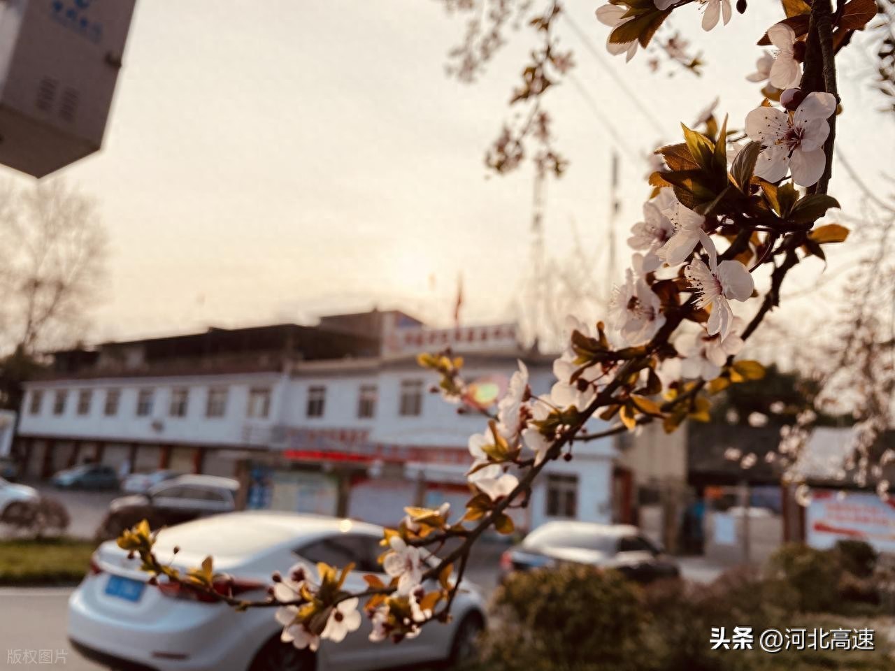 今日9时30分京哈、京沪等高速多路段因养护施工占道